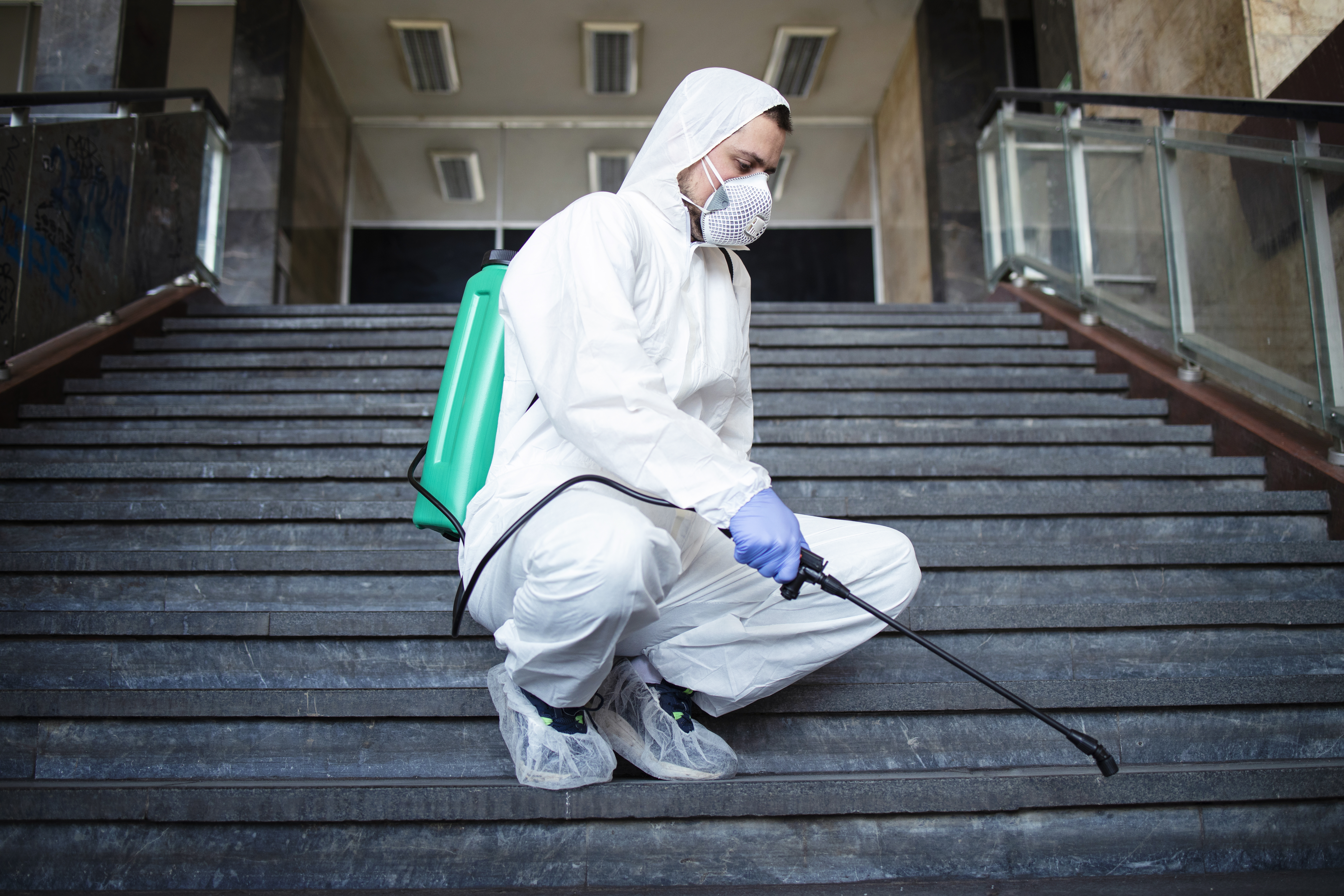 Cockroach Control Image